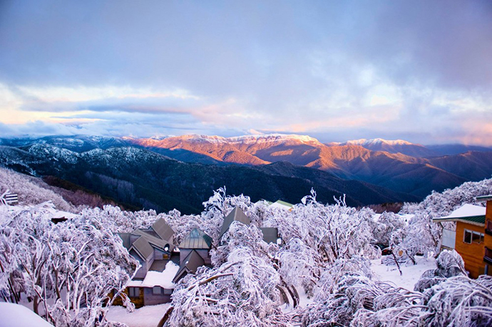 Photo Source :Graham