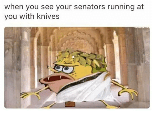 when-you-see-your-senators-running-at-you-with-knives-2822440.png